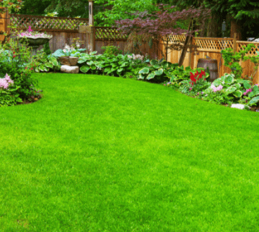 how to start a new lawn