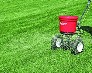 how to fertilize a lawn