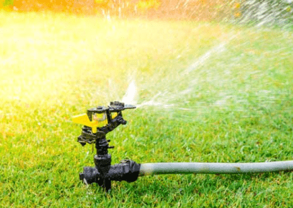watering grass in summer