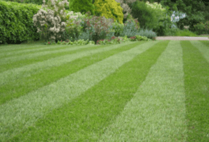 how to stripe a lawn