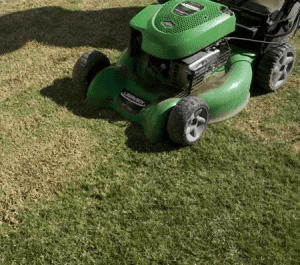 scalping a lawn