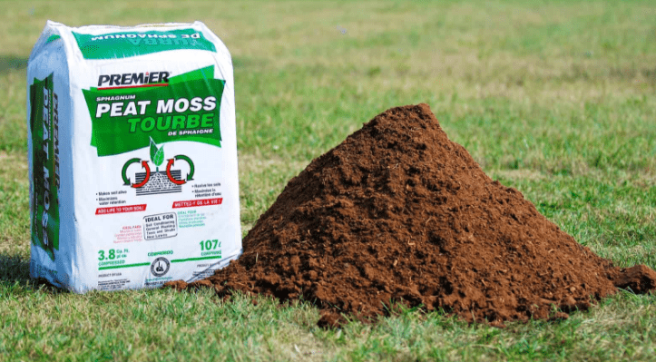 How to Lower Soil pH - 7 Ways to Acidify a Lawn | LawnsBesty