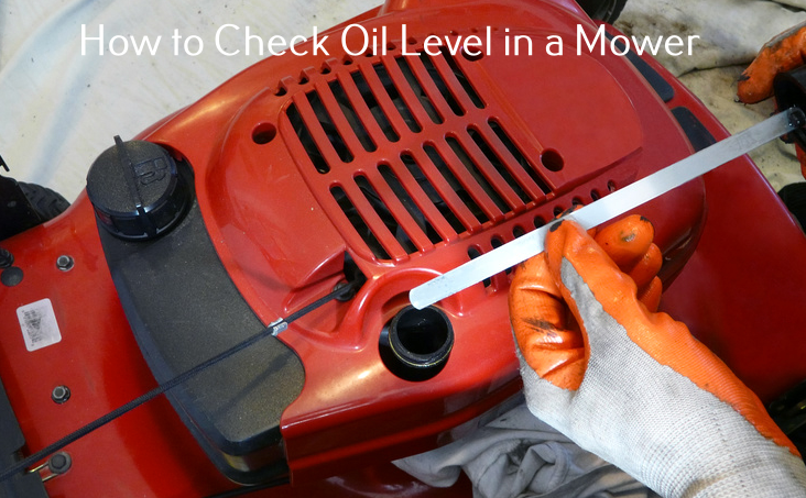 How to check oil level