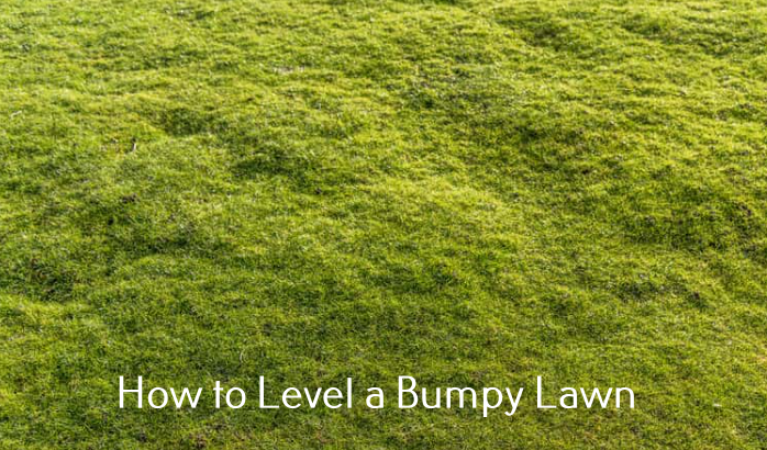 Level a bumpy lawn