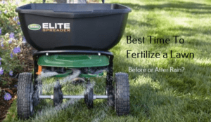Best time to fertilize a lawn
