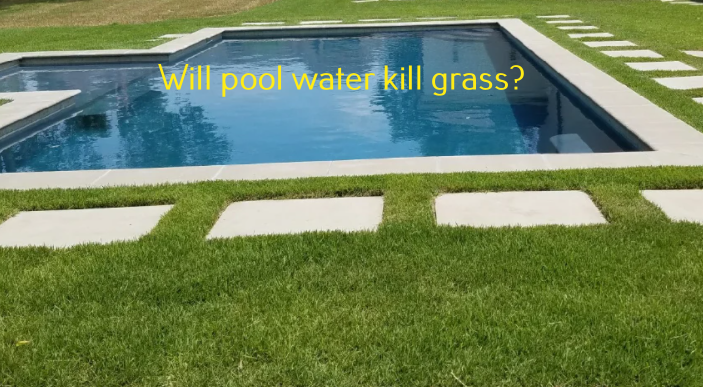 Will pool water kill grass
