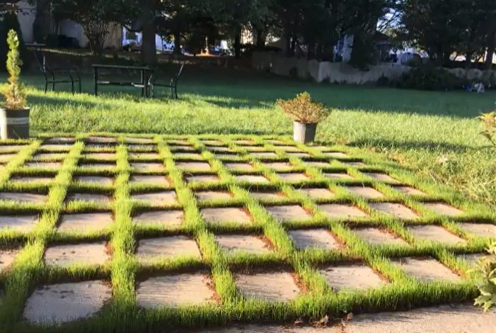 Grass between pavers