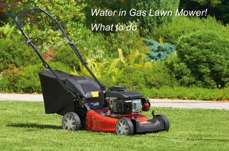 Lawn in Gas Lawn Mower