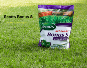 Scotts Bonus S